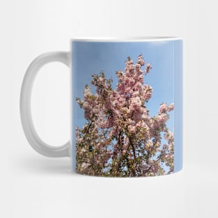 Apple Blossoms Mug